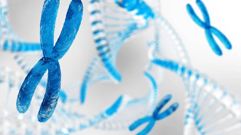 Yaponlar ultra-dəqiq DNT analizi üçün üsul hazırladı