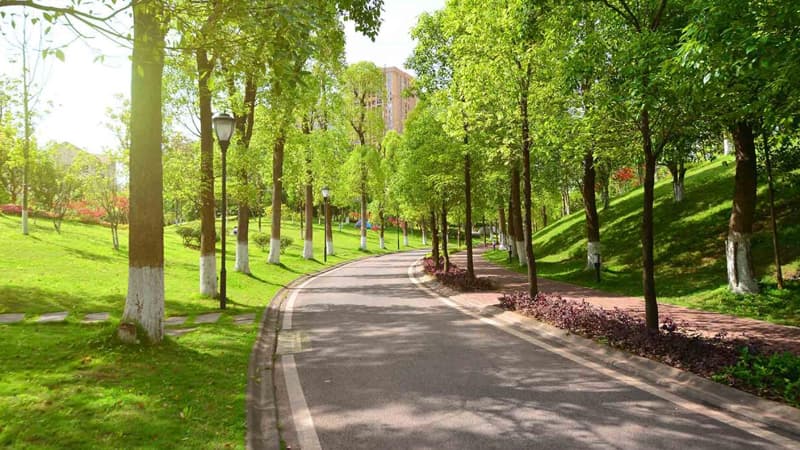 Paytaxtın bu ərazisində böyük park salınır