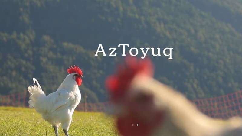 "AzToyuq"da vergi yoxlaması: Pozuntular aşkarlandı