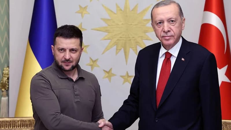 Ərdoğanla Zelenskinin görüşü başladı