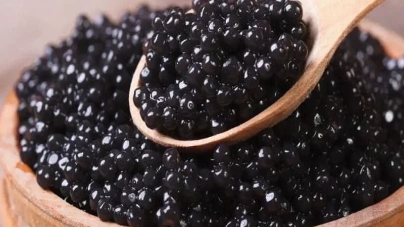 Kürü istehsalında rekord artım: Hədəf illik 40 tonluq istehsal