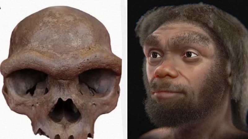 Arxeoloqlar "əjdaha adam" kəlləsinin sirrini nəhayət açdı