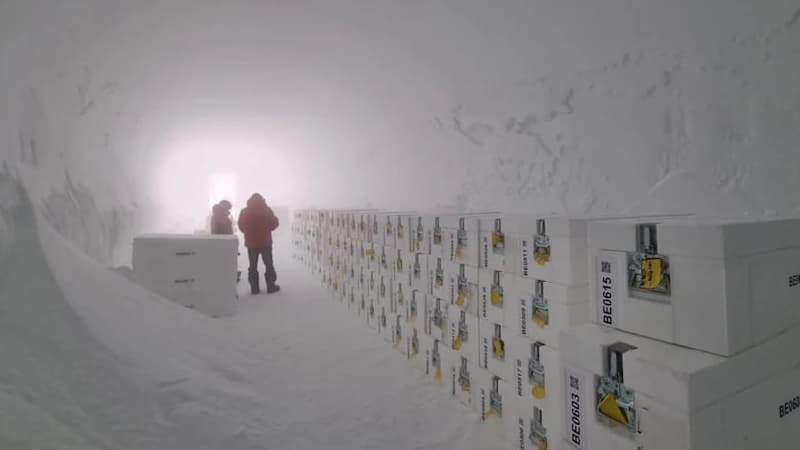 Antarktikada Yer kürəsinin 1,2 milyon illik "buz arxivi" tapıldı