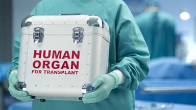 Orqan köçürülməsi: yüzlərlə xəstə növbədə, ekspertlər çıxış yollarını göstərir