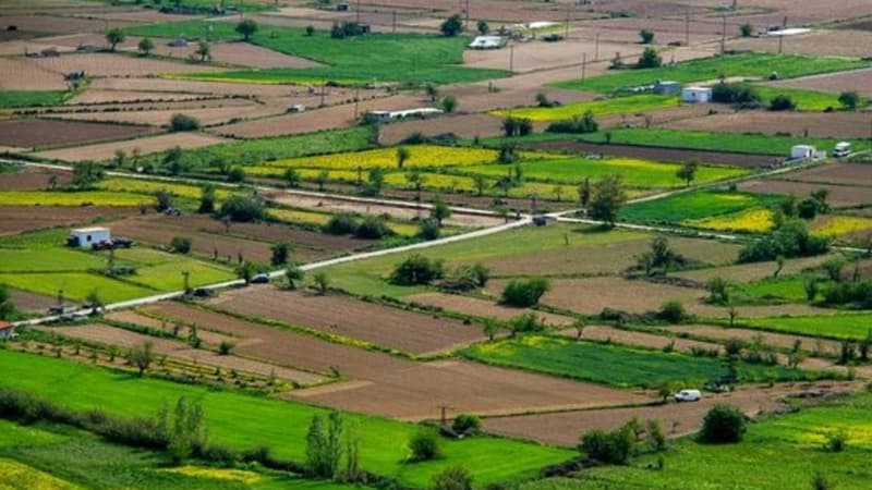 Bakıda torpaq 20 faiz bahalaşdı