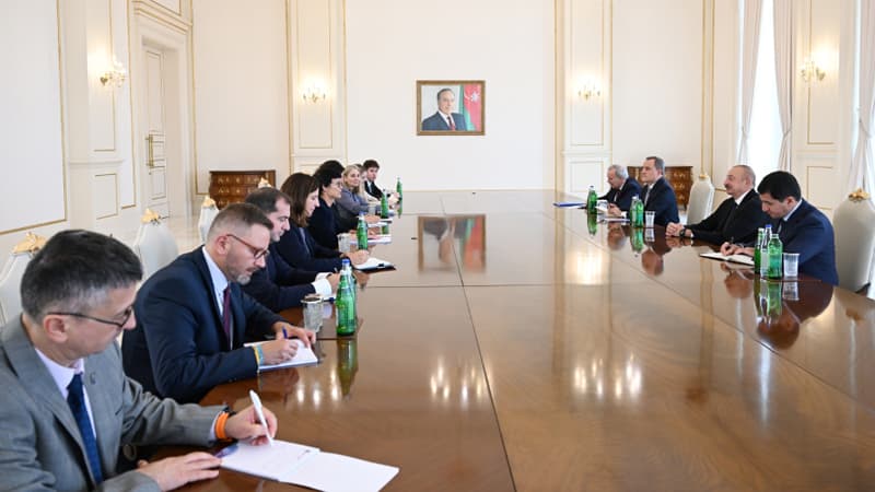 Prezident Avropa İttifaqının Genişlənmə üzrə komissarını qəbul etdi (FOTO)