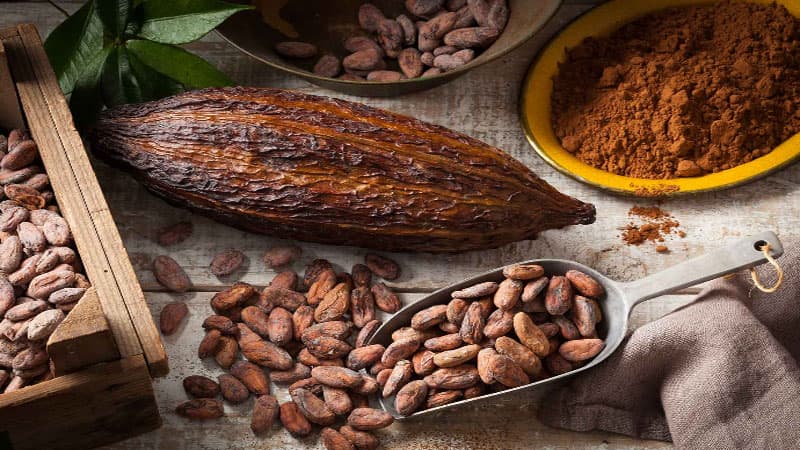 Dünya bazarlarında kakao qiymətləri 40 faizdən çox ucuzlaşıb