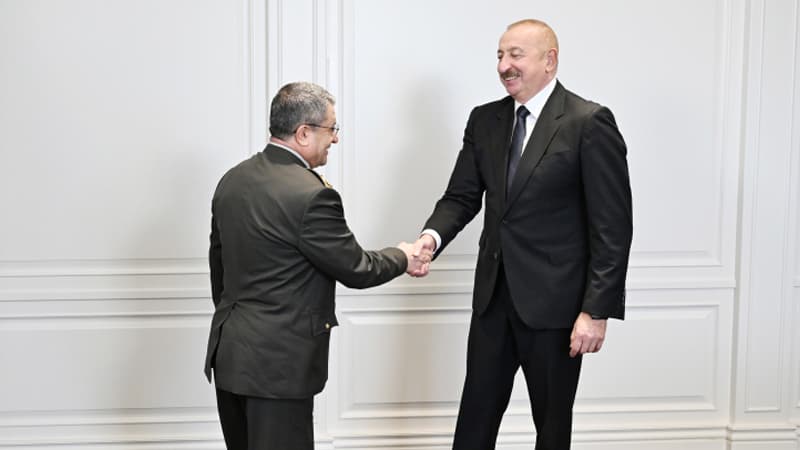 Prezident Selçuk Bayraktaroğlunu qəbul etdi (FOTO)