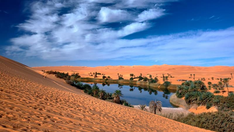 Sahara əsrin sonunda yaşıllaşacaq: Afrikada "yağışlar dövrü" olacaq