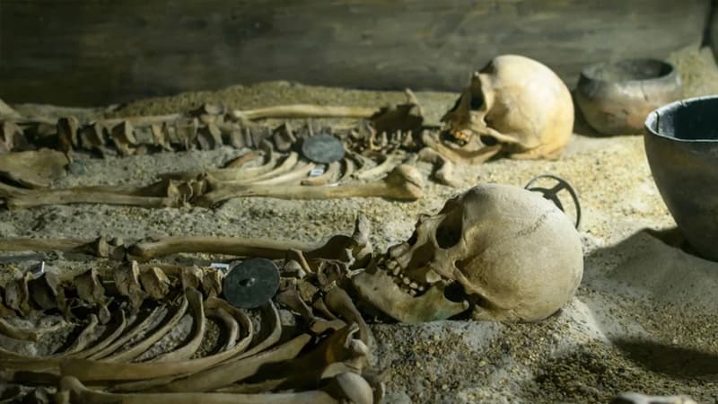 Tarixi dəyişə biləcək yeni kəşf: Skeletlərdə hamiləlik testi