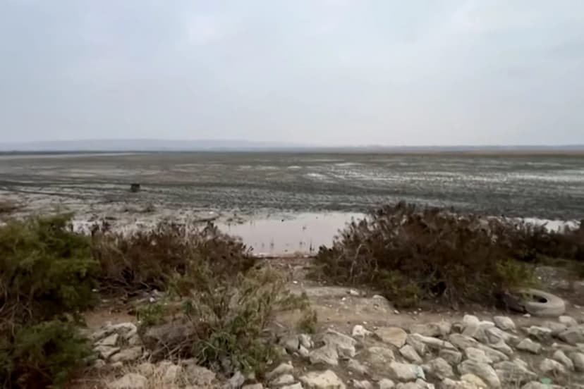 Azərbaycanın ən böyük göllərindən biri quruyur: Ekoloqlar həyəcan təbili çalır (VİDEO)