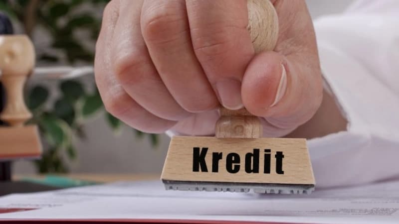 Hansı sahələrə güzəştli kreditlər daha çox verilir?