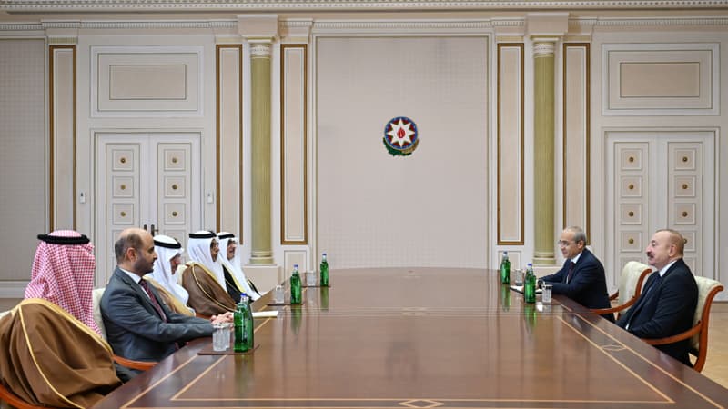 Prezident Ərəb Koordinasiya Qrupuna daxil olan üzv qurumların rəhbər şəxslərini qəbul etdi (FOTO)