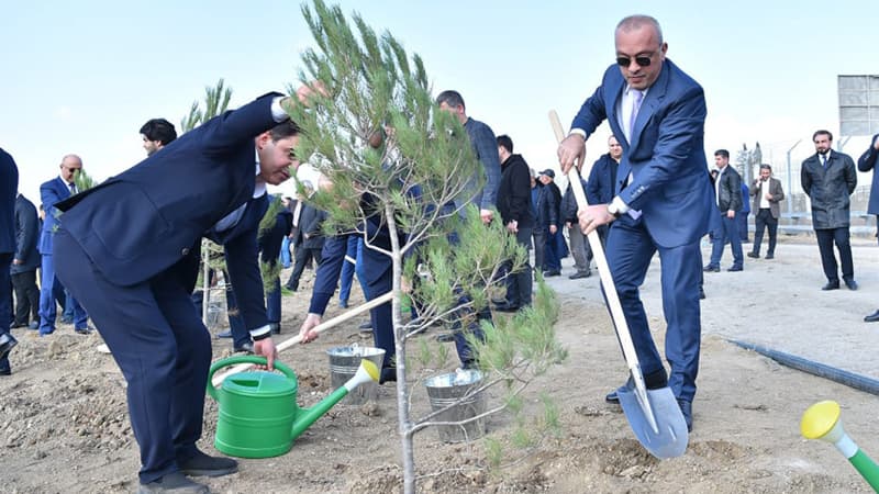 ADSEA Zəfər Günü münasibətilə ağacəkmə aksiyası təşkil etdi (FOTO)