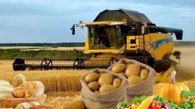 Kənd təsərrüfatının problemi təkcə maliyyə deyil: İnkişafın qarşısını alacaq başqa nələr var?