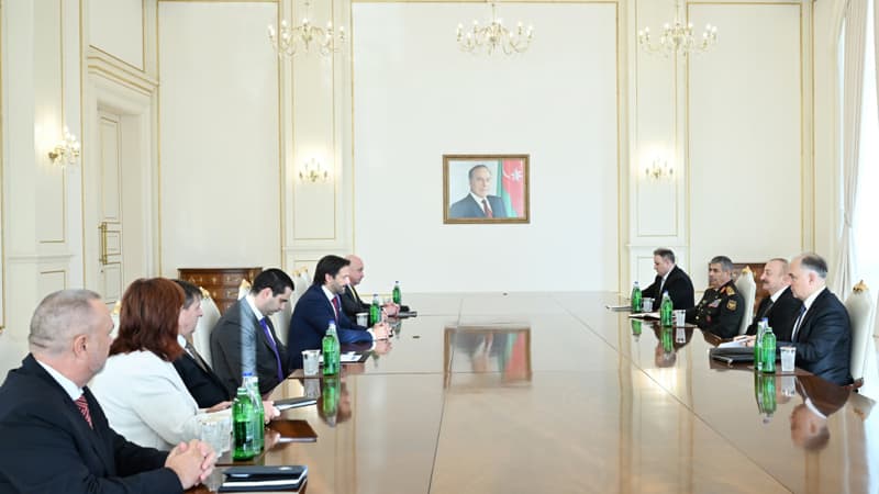Prezident Slovakiyadan olan nümayəndə heyətini qəbul etdi (FOTO)