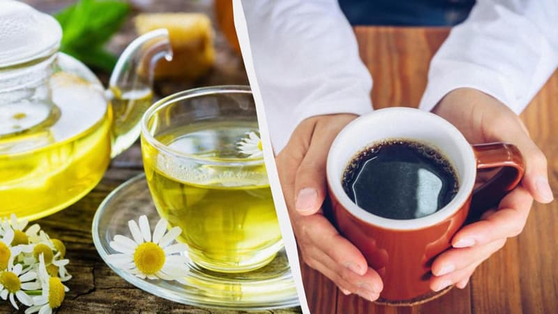 Hansı daha faydalıdır: Qəhvə, yoxsa çay?