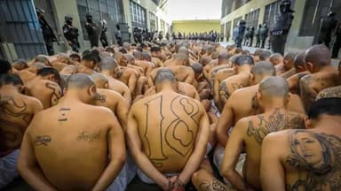 MS-13-ün 248 üzvünə hökm oxundu: Biri 1335 il həbs cəzası aldı