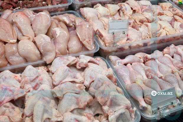 Nigeriyada taun, Monqolustanda dabaq xəstəliyi...  - Hökümət hərəkətə keçdi