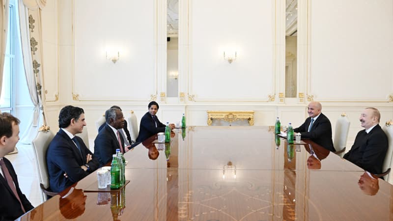 Prezident "Global Infrastructure Partners" şirkətinin baş icraçı direktorunu qəbul etdi