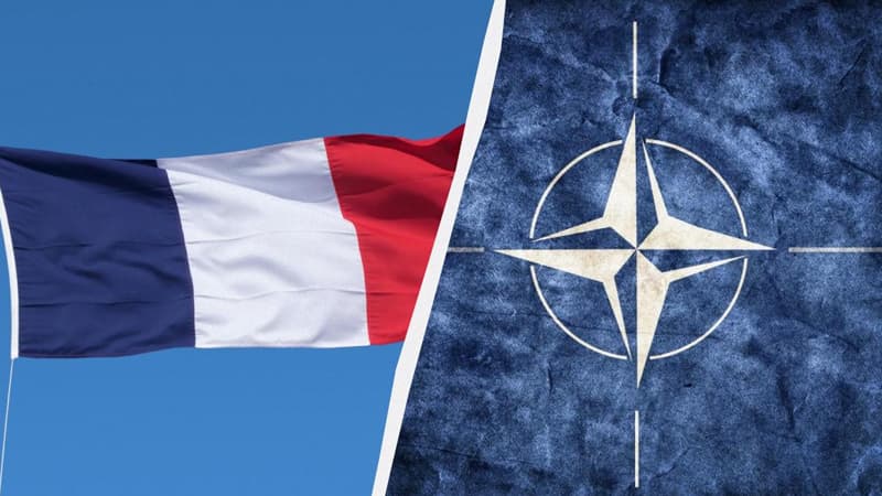 Fransa NATO-dan çıxmağı nəzərdən keçirir - "Berliner Zeitung"