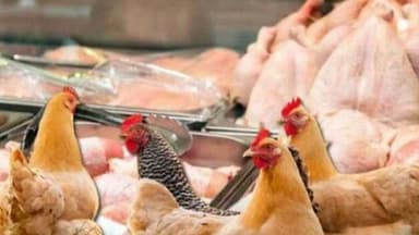 AQTA-nın "sarı boya" əməliyyatı: Fermerləri cəzalandırmalı, yoxsa kömək etməli?