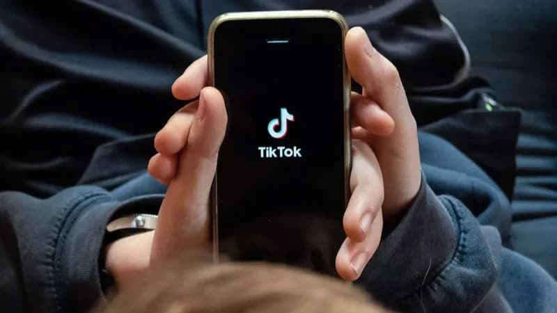 "TikTok"da deputatları və icra başçılarını söyən şəxs həbs olundu