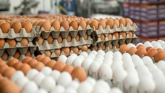 Azərbaycanda yumurtanın qiyməti bu tarixdən ucuzlaşacaq