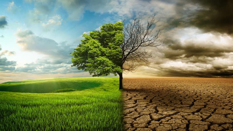 Planetdə quraqlıq niyə eyni anda baş vermir? - Alimlər izahını tapdı