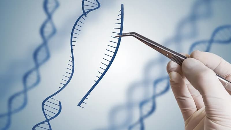 Azərbaycanda insanın klonlaşdırılması üsulları patent obyekti kimi tanınmayacaq