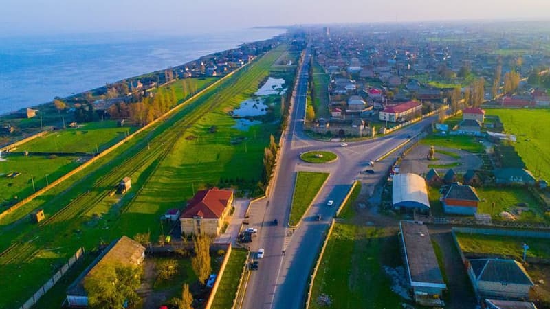 Lənkəranda köçəri quşlar kütləvi tələf oldu (FOTO)