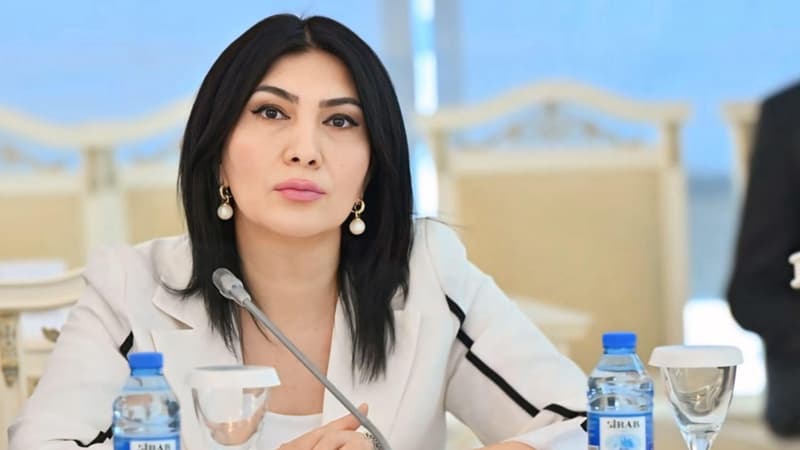Azərbaycan və Avropa İttifaqı: Enerji, sülh və gələcəyin Strateji Körpüsü