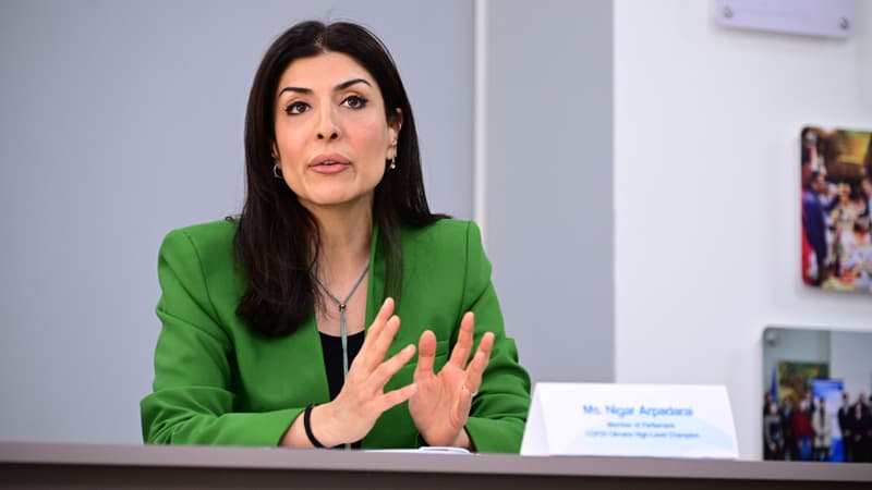 "Bu çox təhlükəli qanun layihəsidir" - Deputatdan layihəyə sərt etiraz