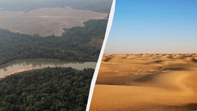 Saharadan gələn toz hər il Amazonu "qidalandırır": Necə baş verir?