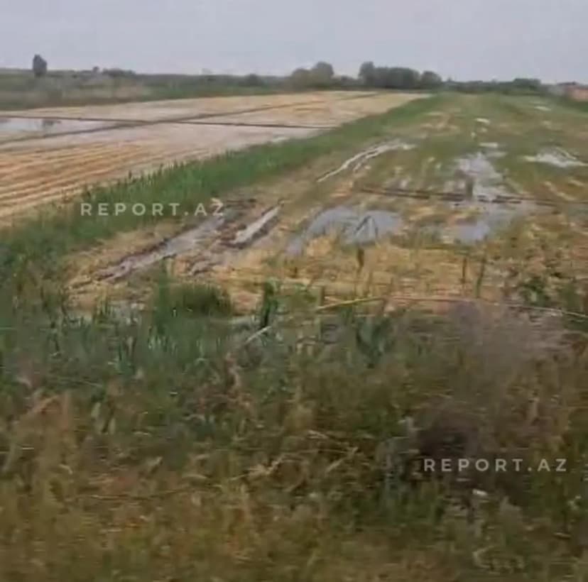 Kürdə suyun səviyyəsi artdı, İmişlinin üç kəndində pay torpağı su altında qaldı