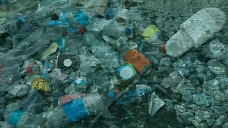 Alimlər əmrlə özünü məhv edən "canlı plastik" yaratdı