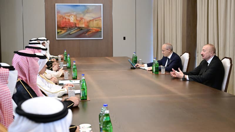 Prezident Ərəb Koordinasiya Qrupunun nümayəndələrini qəbul etdi (FOTO)