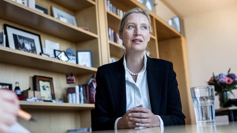 Almaniyanın ifrat sağçı lideri kansler olmaq və Rusiya ilə əlaqələri bərpa etmək istəyir