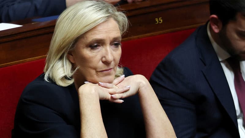 Marin Le Pen AP vəsaitlərinin mənimsənilməsində təqsirli bilindi