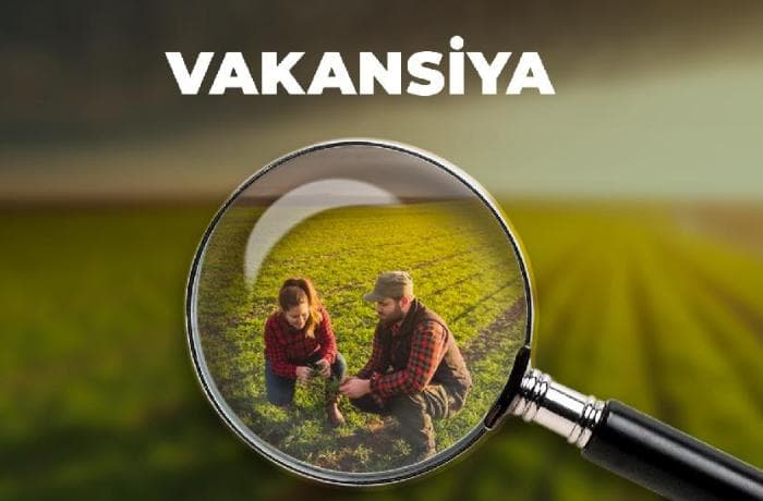 İşçilərə ən yüksək maaşı hansı sahələrdə təklif edirlər?