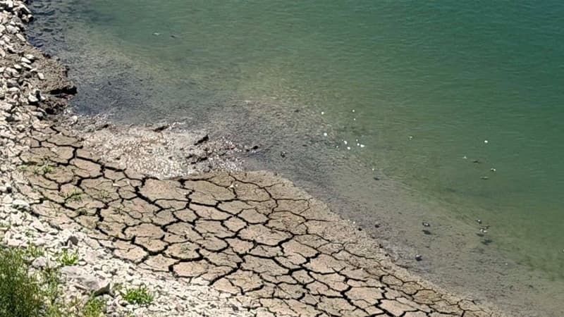 Yer rekord qıran El Nino ilə üz-üzə: 2027-ci il ən isti il ola bilər