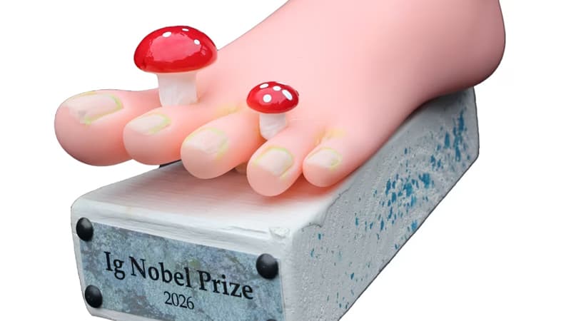 2026-cı ilin ən absurd elmi kəşfləri açıqlandı