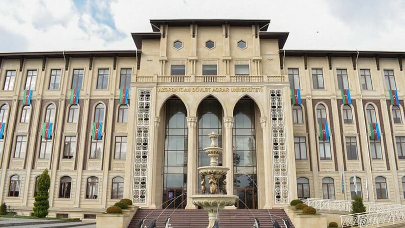 ADAU-da müəllimlərin kütləvi ixtisarı aparıldı