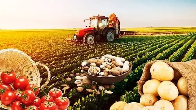 Natiq Cəfərli: Aqrar sahəyə ayrılan vəsaitin əsas hissəsi subsidiyalara yönəldiləcək