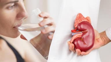 Böyrək sağlamlığı üçün axşam saatlarında içmək lazım olan 5 içki