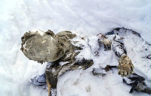 55 il əvvəl itkin düşən alpinistlər bu vəziyyətdə tapıldı - FOTOLAR