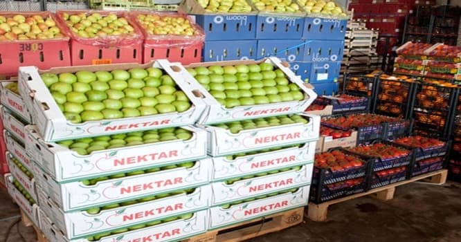 "Bu hökm Azərbaycanda insan haqlarına daha bir zərbədir”