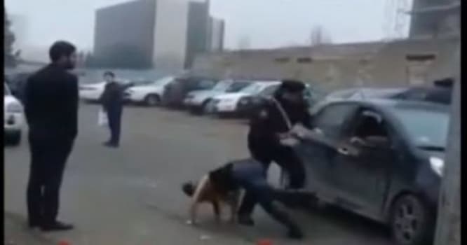 Bakıda yol polisi və qadın sürücü arasında insident - VİDEO