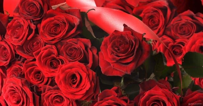 8 martda hər qadına 40 manat veriləcək - Türkmənistanda