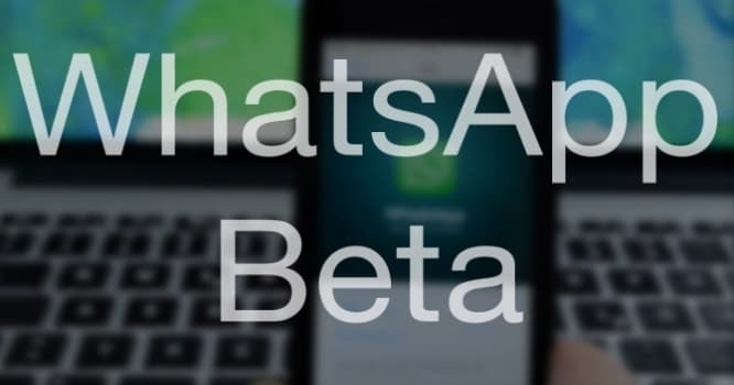 “Whatsapp”dan daha bir yenilik